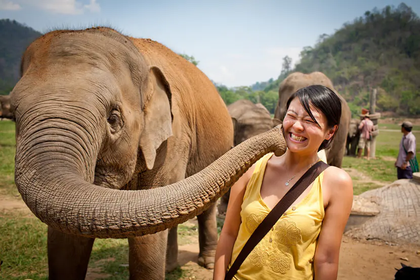 Immersion culturelle à Chiang Mai, édition 2026